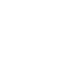 Services-icon-04